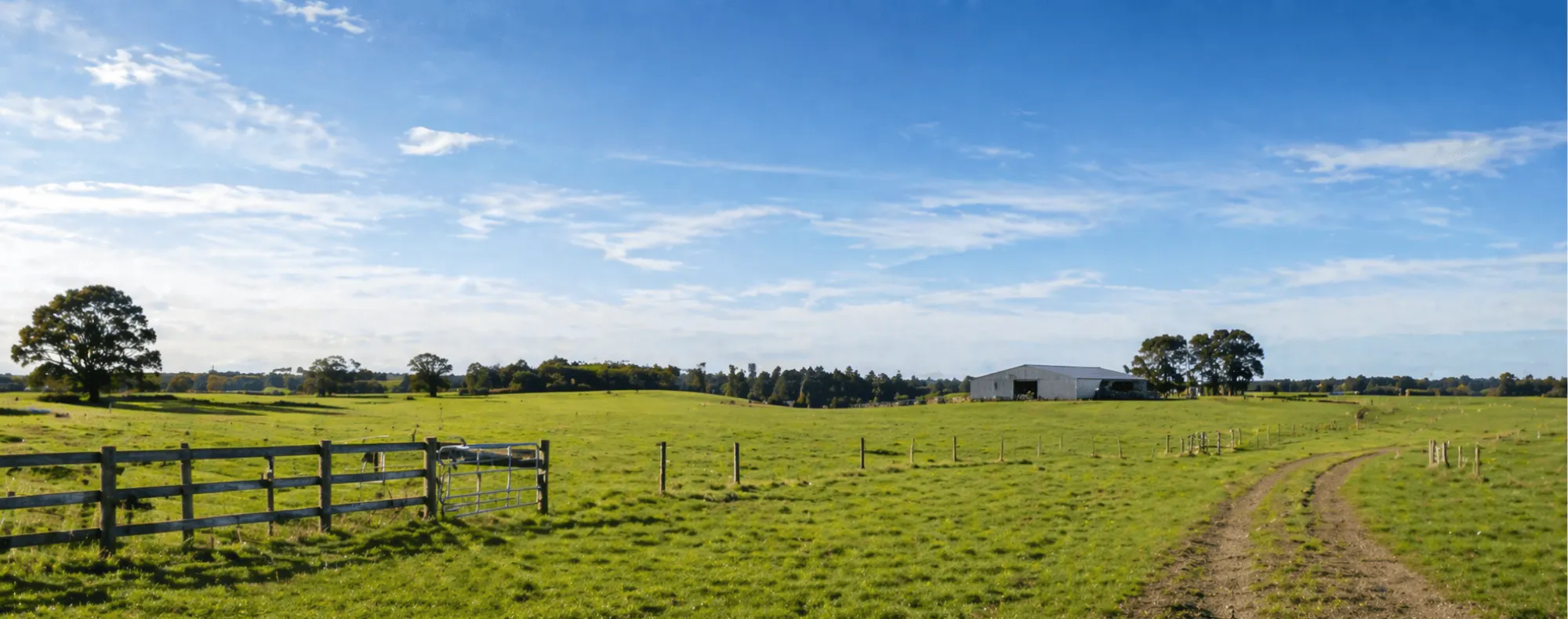 1.-NZ-Imagery Farm-Sheds Distant-Farm-Shed-Hero