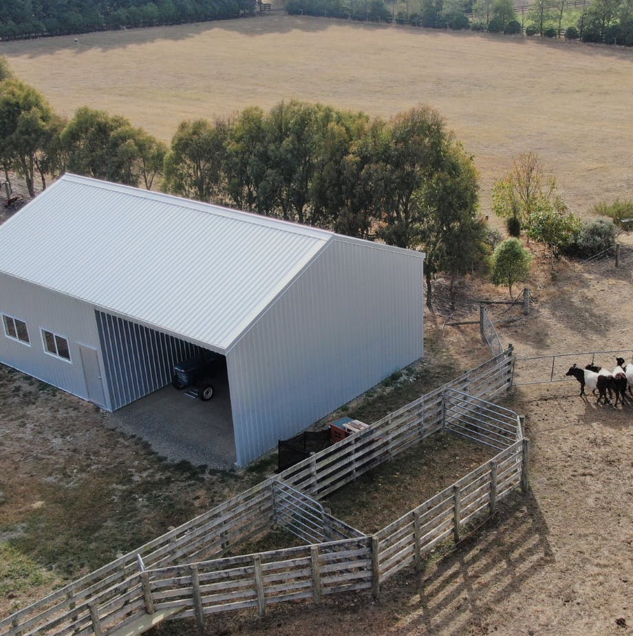 Farm shed with cows