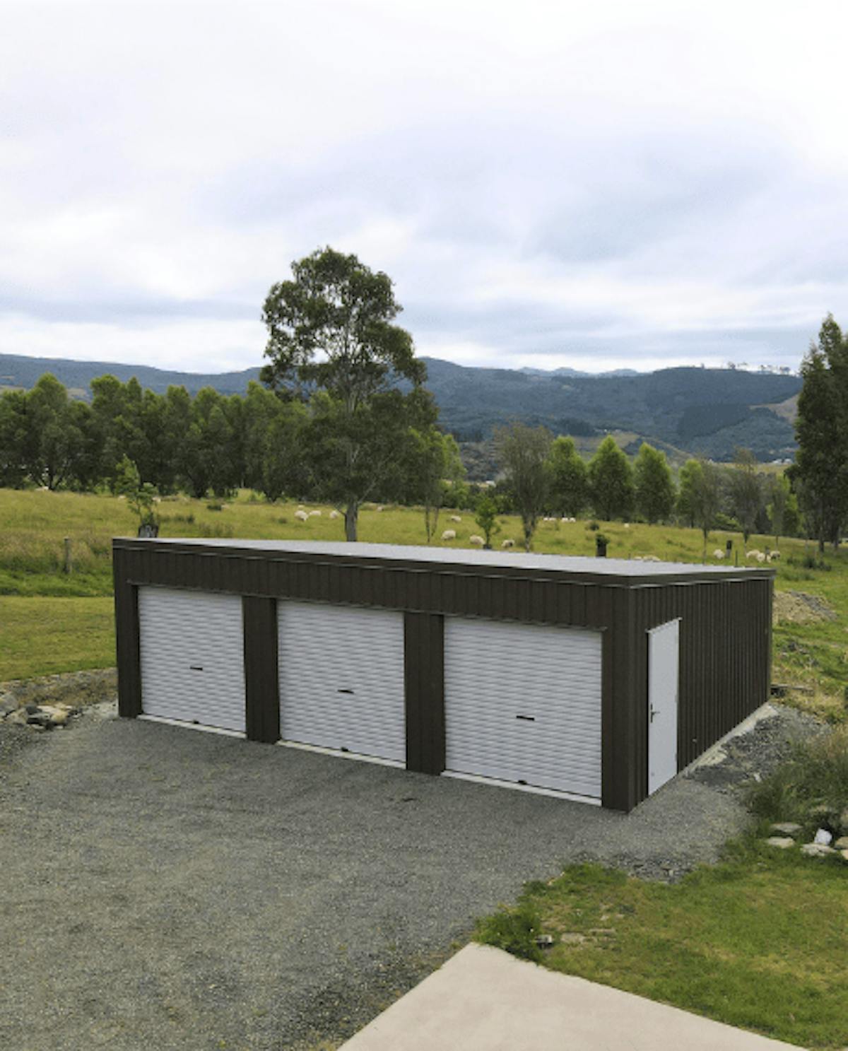 Simple 3-bay shed - Wide Span Sheds