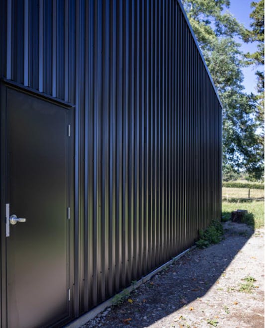 COLORSTEEL shed