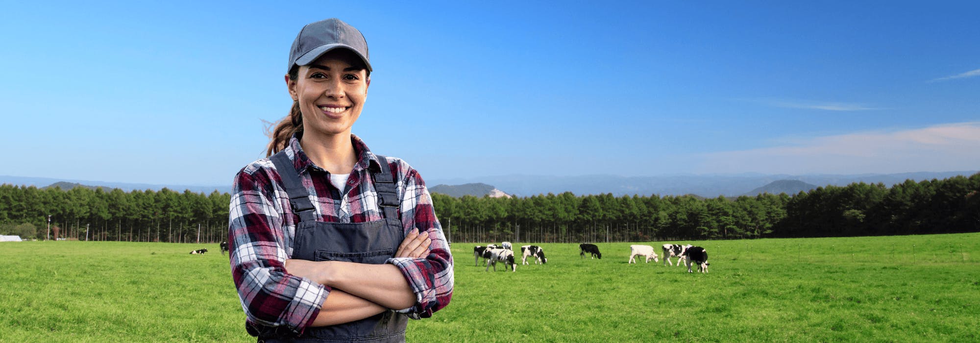 1.-NZ-Imagery Resources farm-images-2000-x-700-px-2