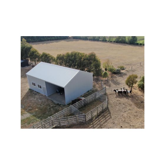 Shed with cows - Wide Span Sheds
