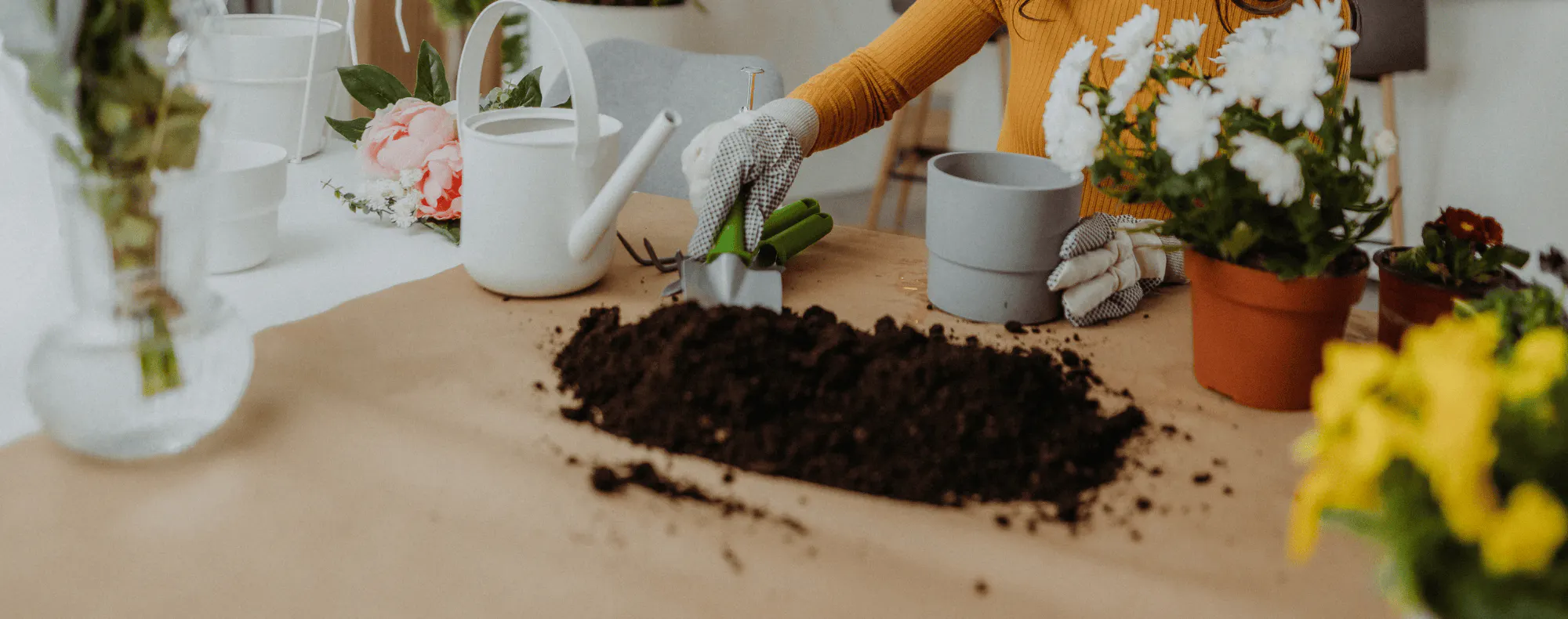 She shed potting plants