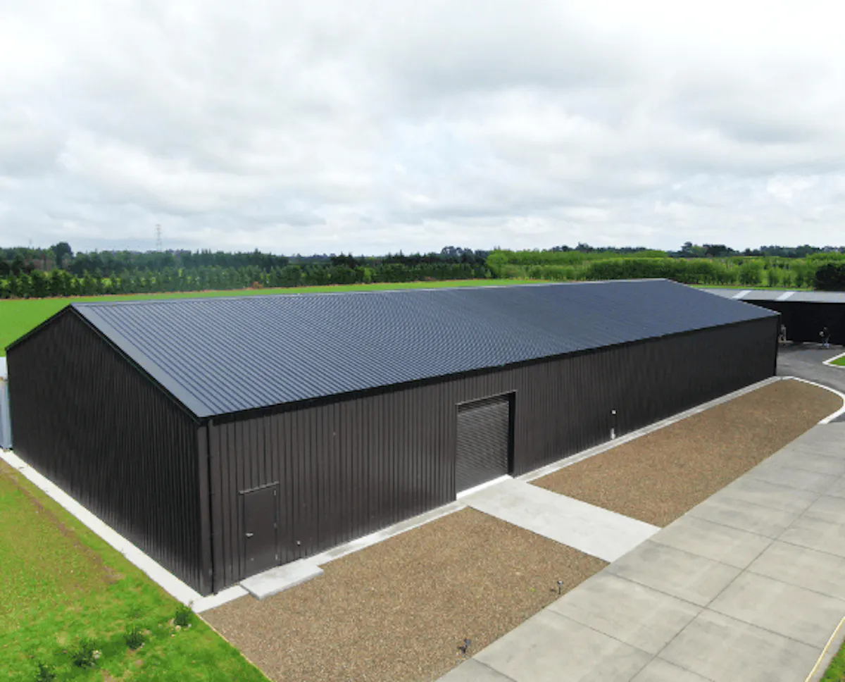 The Big Daddy shed - Wide Span Sheds