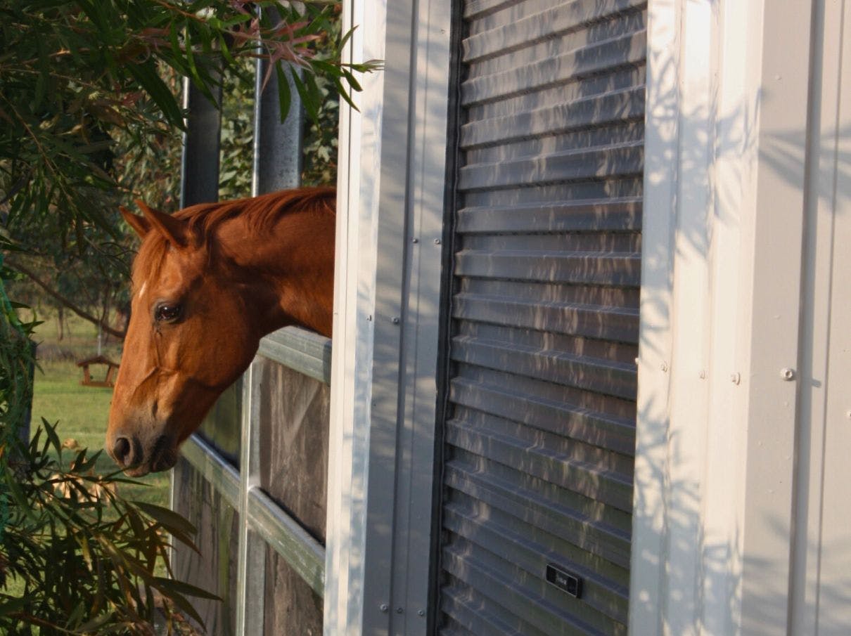 Content-Module Horse-stables-and-sheds-prices Content-Module Horse-stables-and-sheds-prices