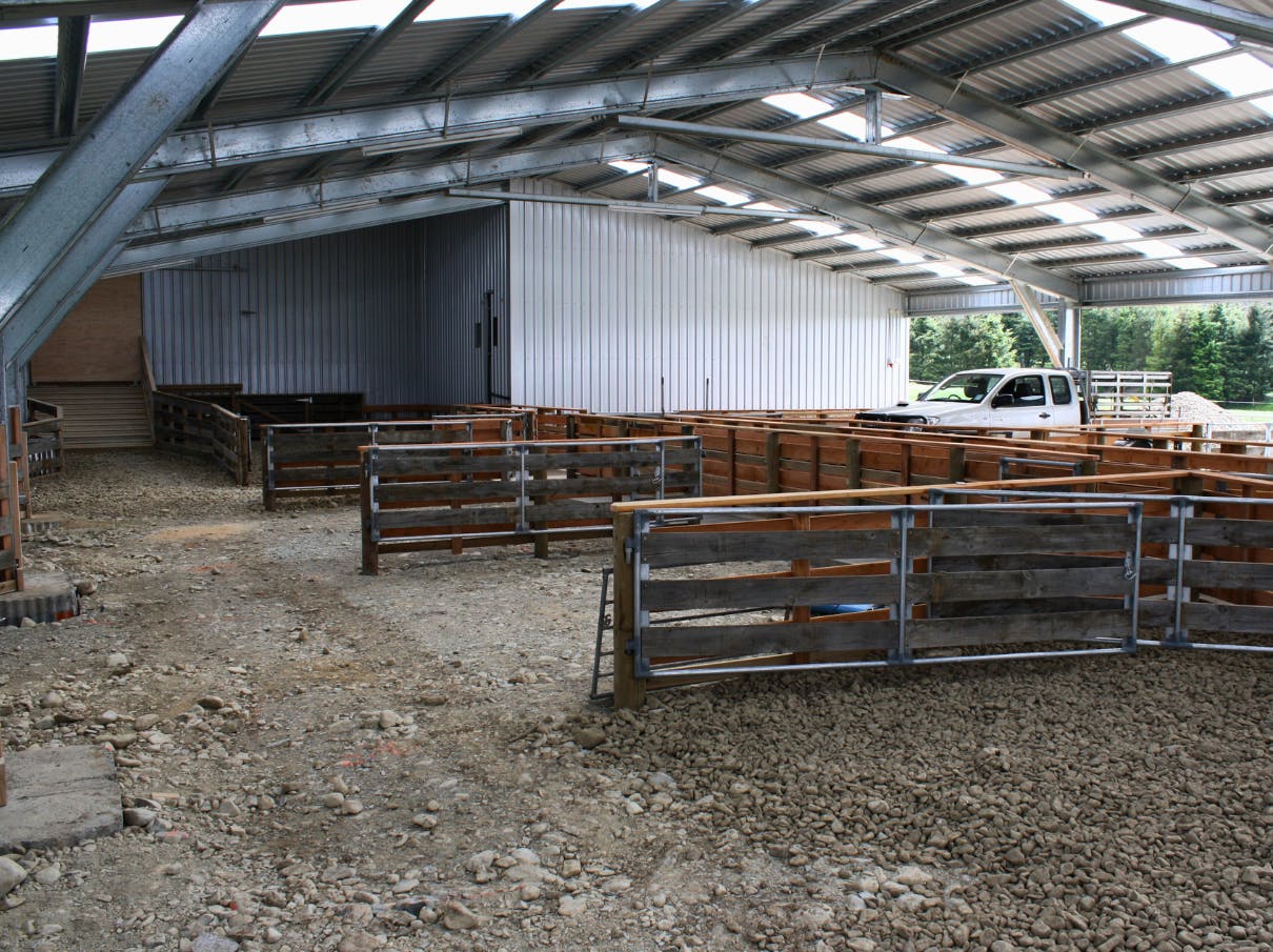 Content-Module Shearing-shed-prices Content-Module Shearing-shed-prices