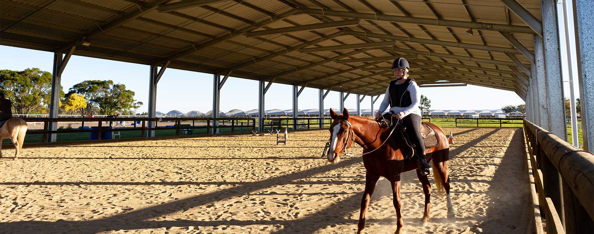 Hero-Banners Product-Page-Banners Equine-Banner Hero-Banners Product-Page-Banners Equine-Banner