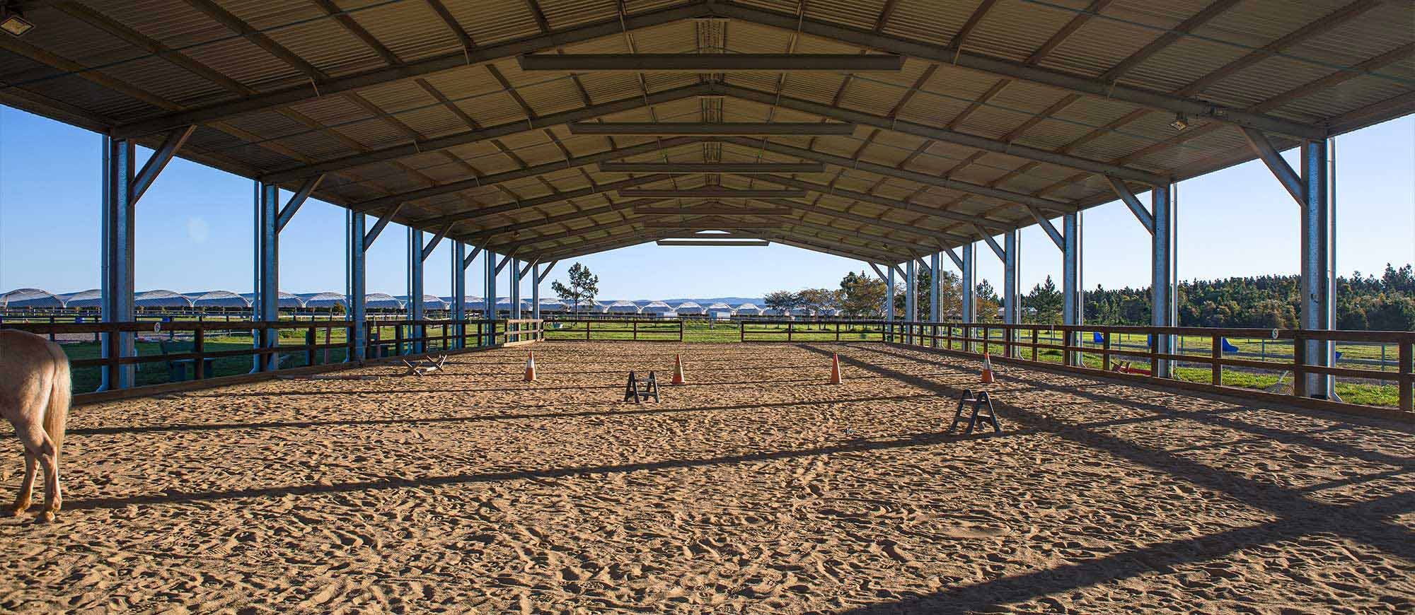 Image-Slider Arena-2