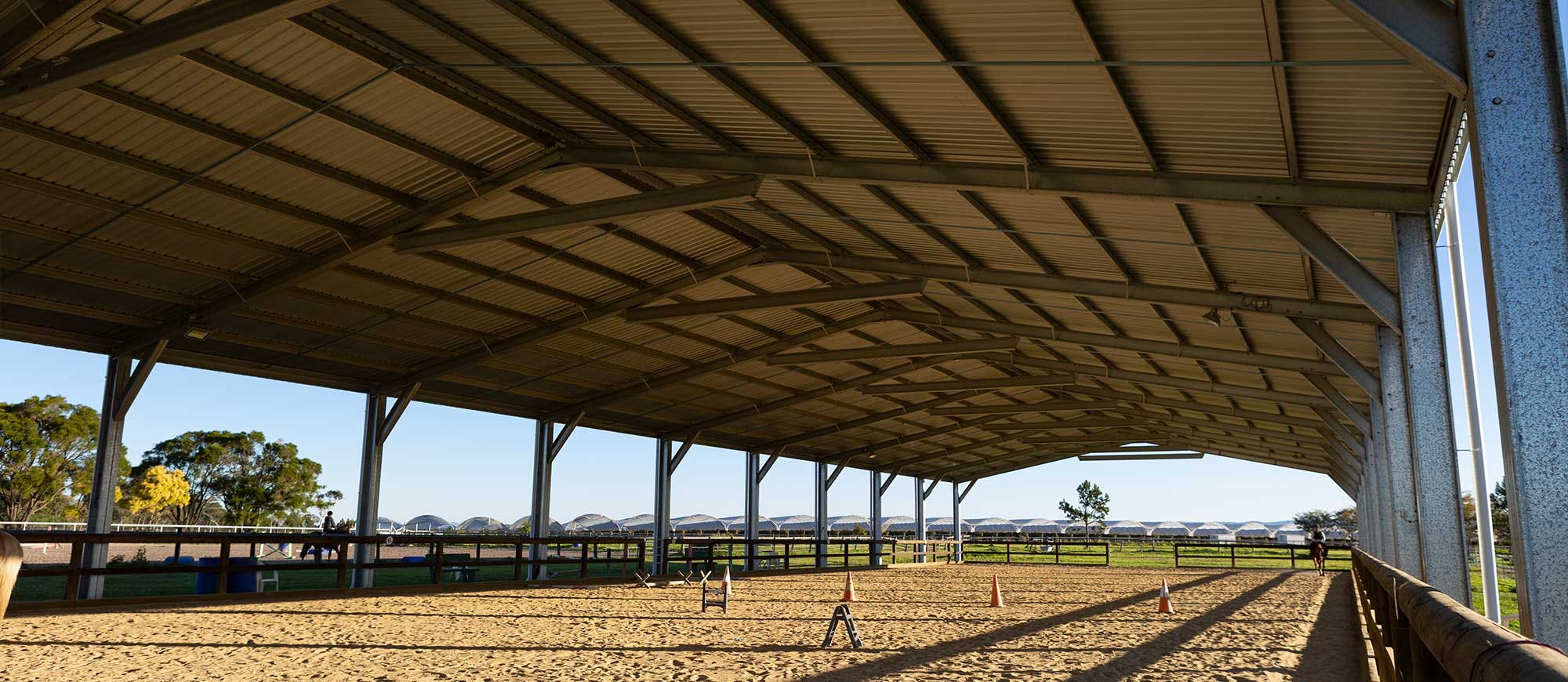 Image-Slider Arena-3