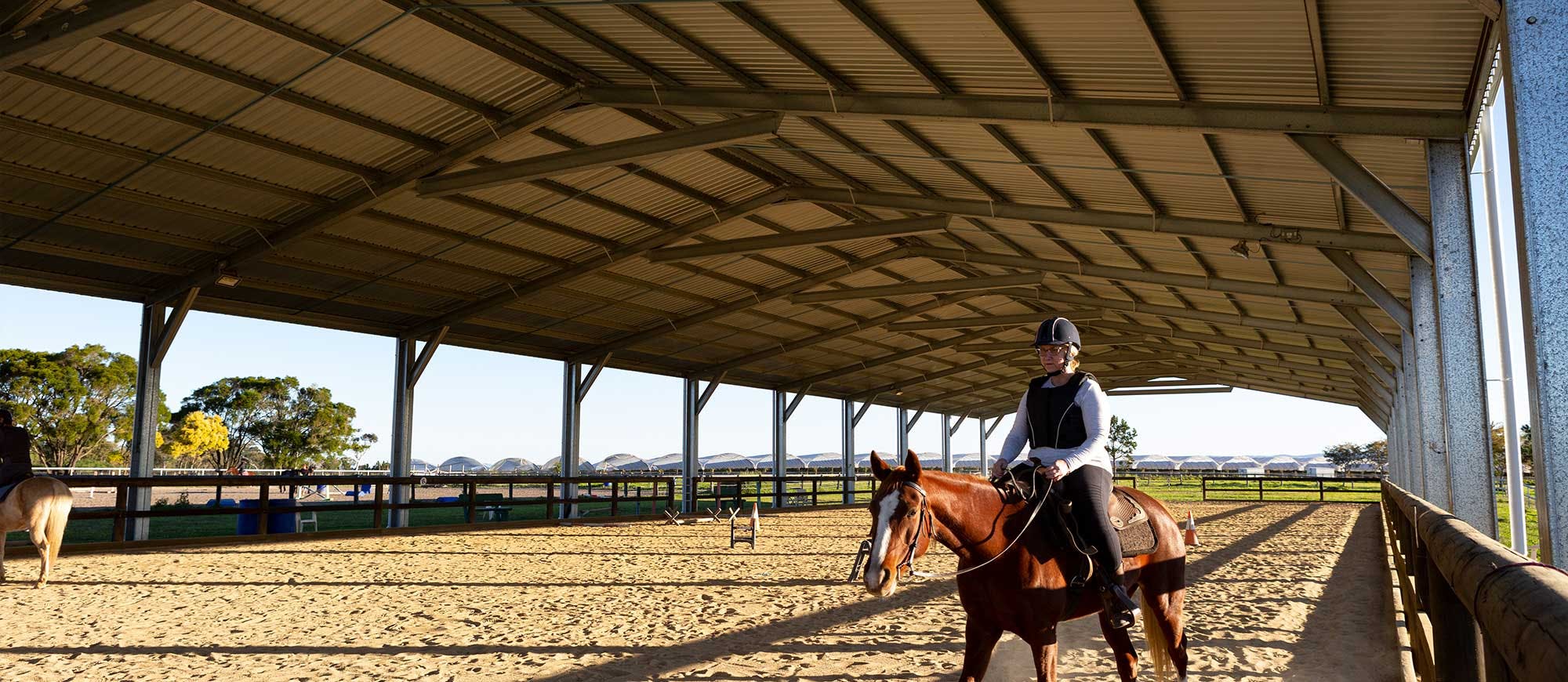 Image-Slider Equine-2 Image-Slider Equine-2