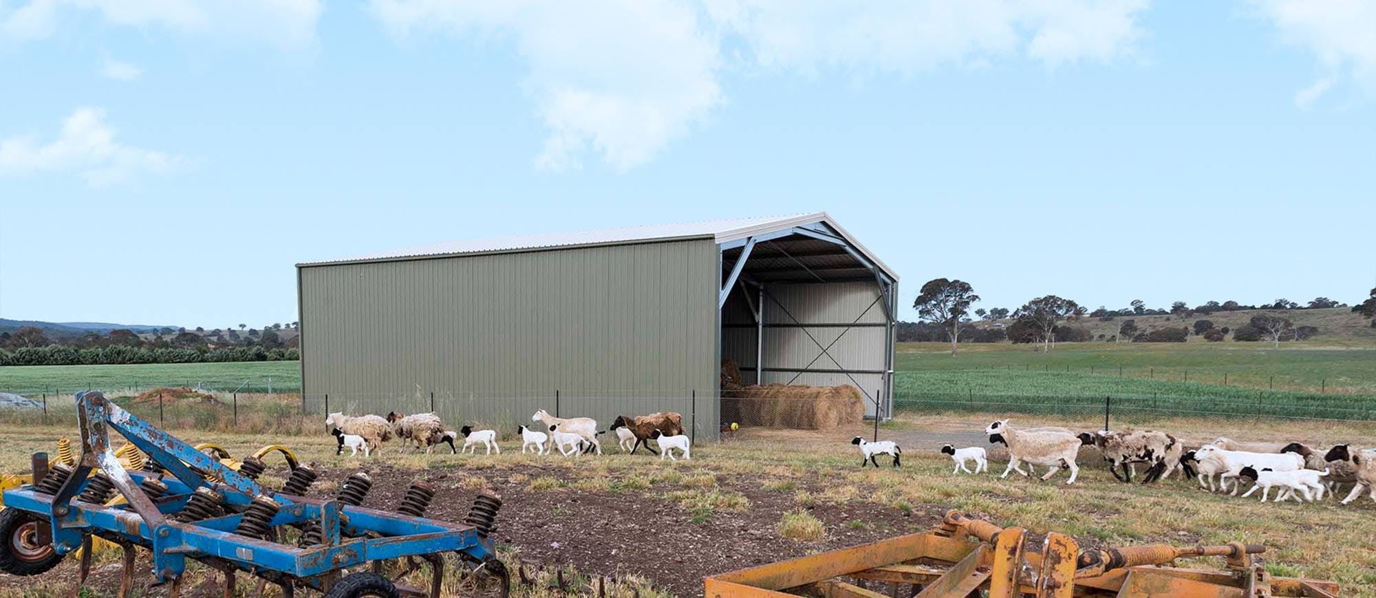 Image-Slider Livestock-Sheds-2 Image-Slider Livestock-Sheds-2