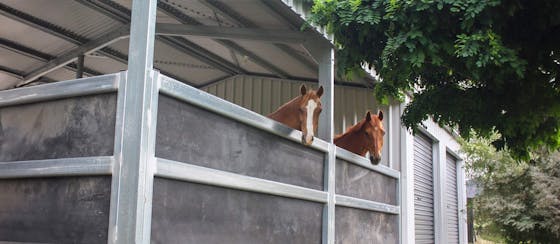 Image-Slider horse-stables-sheds-1