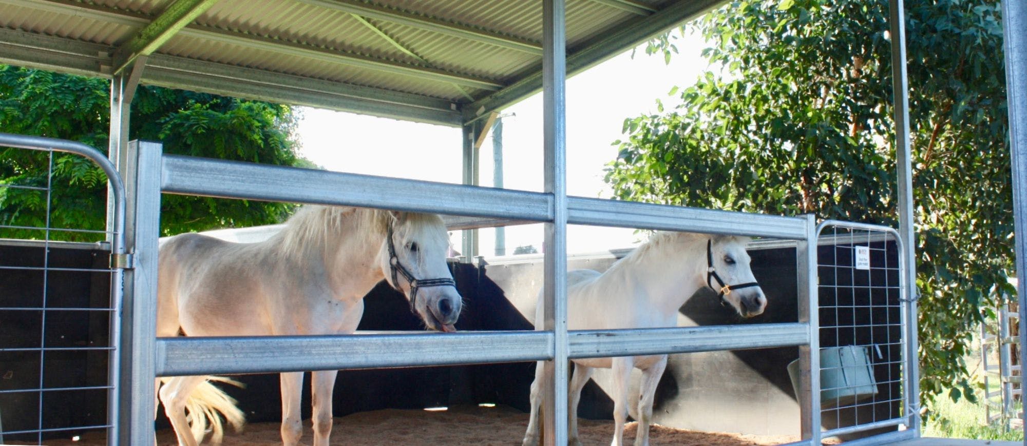 Image-Slider horse-stables-sheds-9 Image-Slider horse-stables-sheds-9
